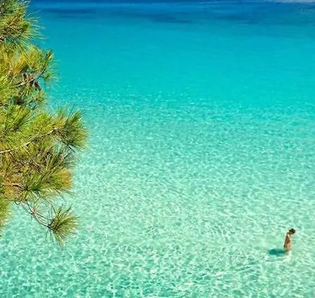 Holiday home οικογενειακη κατοικια με αυλη, καλλιθεα χαλκιδικησ *